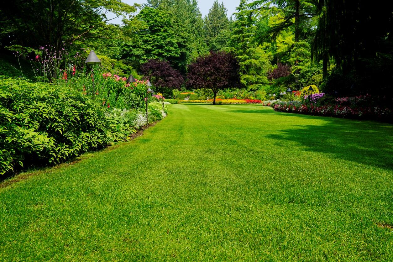 A yard landscaped by Chestnut Landscaping