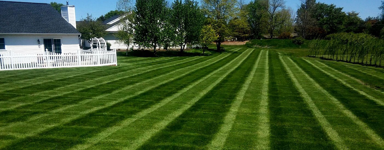 Lawn mowed by Chestnut Landscaping with alternating stripes for manicured look