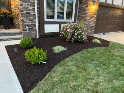 Newly mulched flowerbeds by Chestnut Landscaping