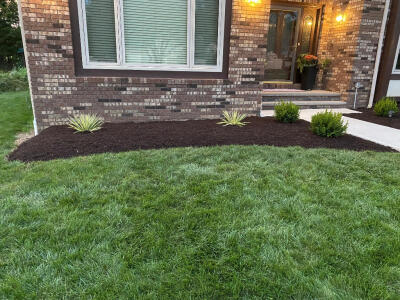 Newly mulched flowerbeds by Chestnut Landscaping