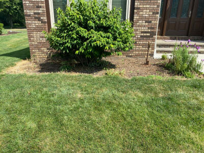 Before newly mulched flowerbeds by Chestnut Landscaping