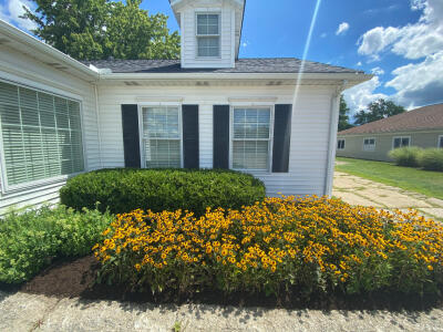 A cleaned up flower bed with trimmed hedges and blooming flowers in front of a commercial property in Aurora Ohio maintained by Chestnut Landscaping