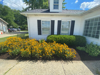 A cleaned up flower bed with trimmed hedges and blooming flowers in front of a commercial property in Aurora Ohio maintained by Chestnut Landscaping