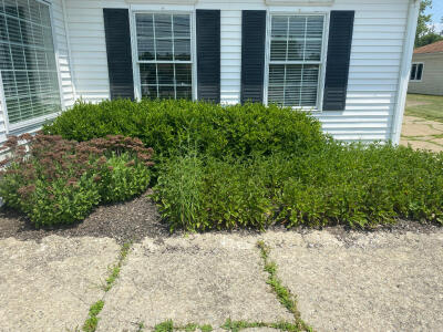 Before cleanup, maintenance, & landscaping done on commercial property by Chestnut Landscaping