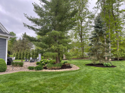 Landscaping by Chestnut Landscaping in Barrington Estates in Aurora 