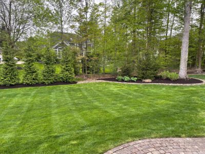 Landscaping by Chestnut Landscaping in Barrington Estates in Aurora 